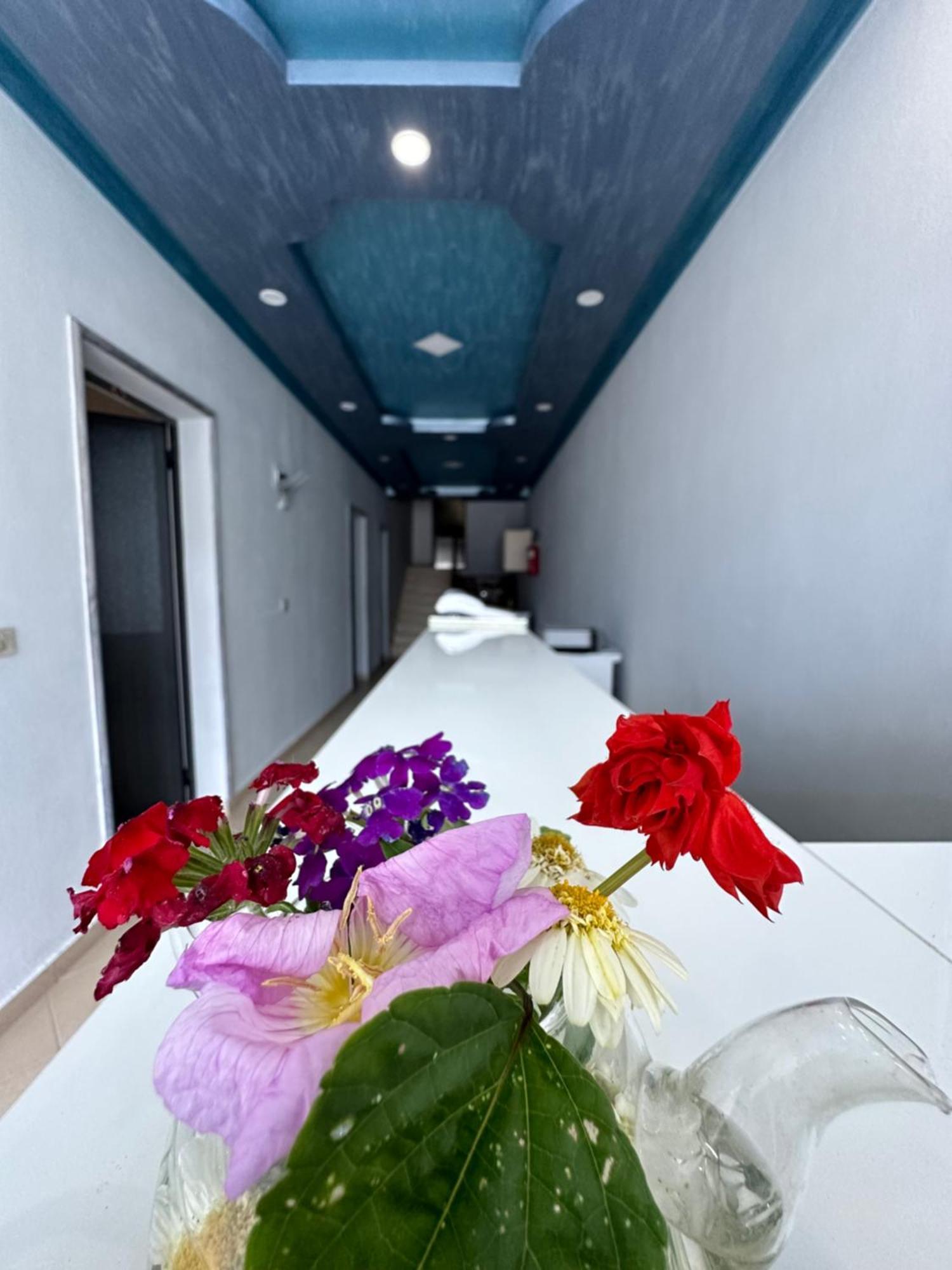 Apartment Aleksi